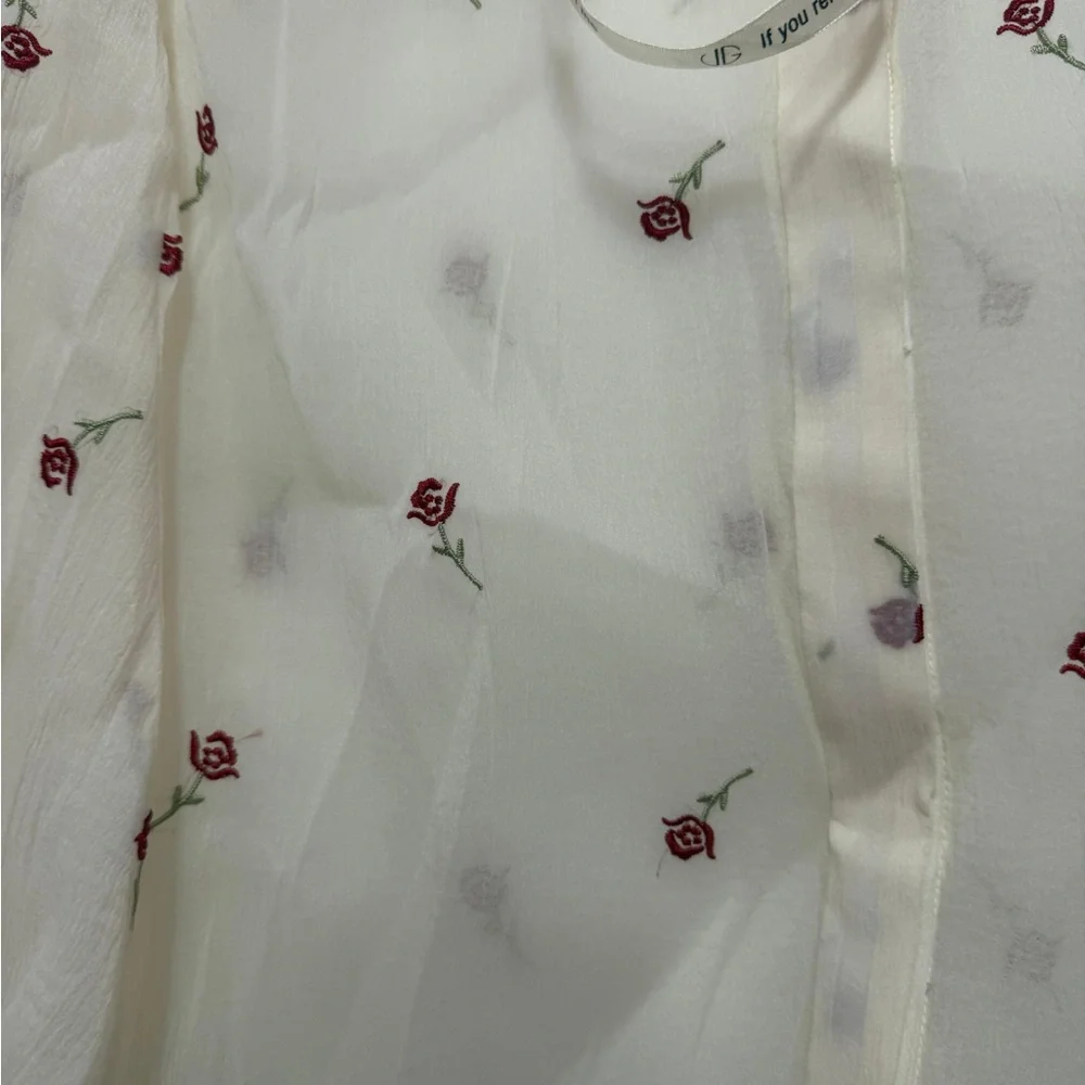 Chic Sheer Blouse with Red Floral Accents and skirt - Picture 5 of 7